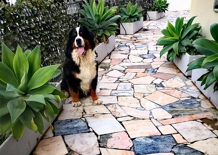 3b Flat Апартаменты *